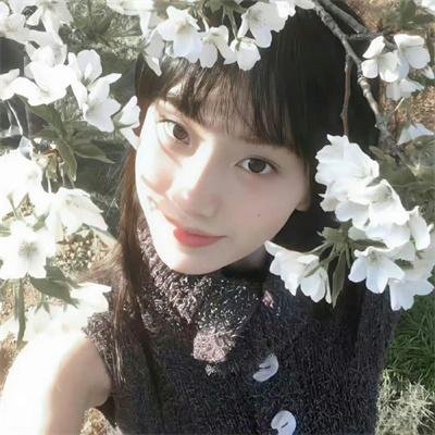 罪案终结第六季